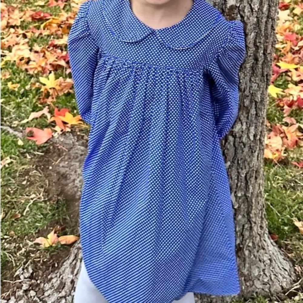 Adorable blue polka dot classic dress!